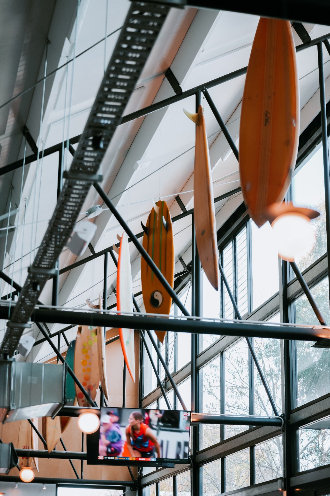 Surfboards hanging at Saltline